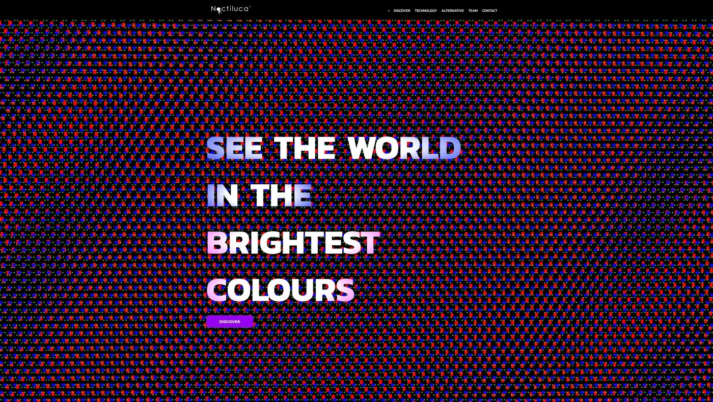 HOME---Noctiluca-2019-09-13-18-55-34 2